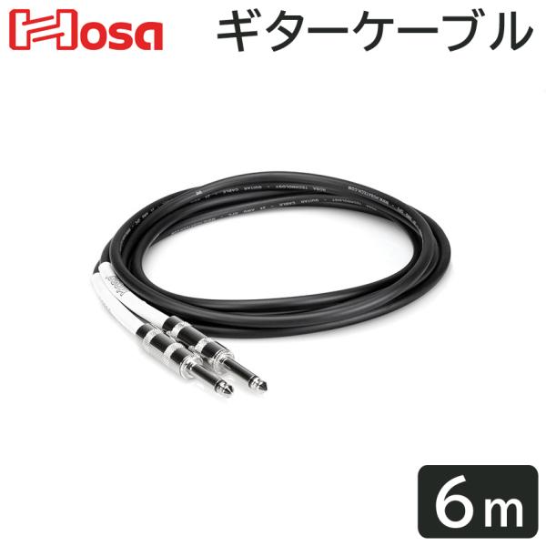 HOSA 6m SS M^[P[u GTR-220