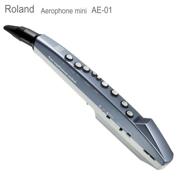 Roland ���[�����h �f�W�^���Ǌy�� �G�A���t�H���~�j Aerophone mini AE-01