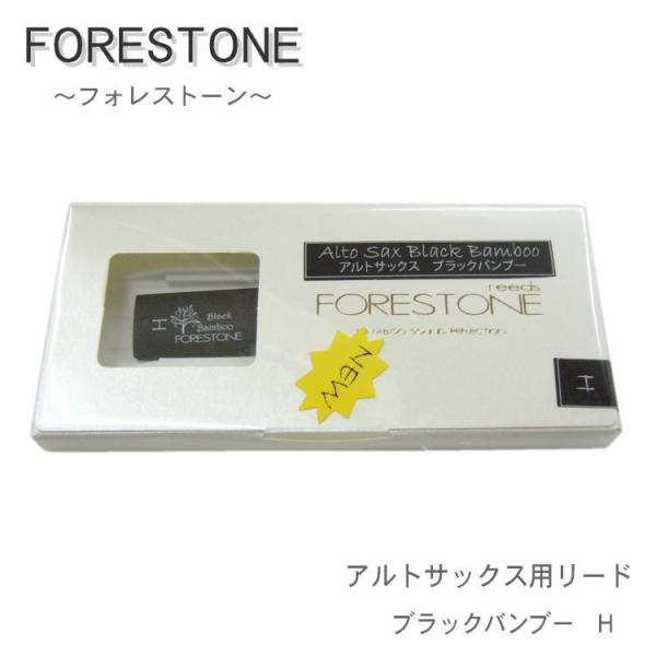 tHXg[[h AgTbNX [h ubNou[ H / Forestone / [h / ty uXoh / [֑Ή 10_܂