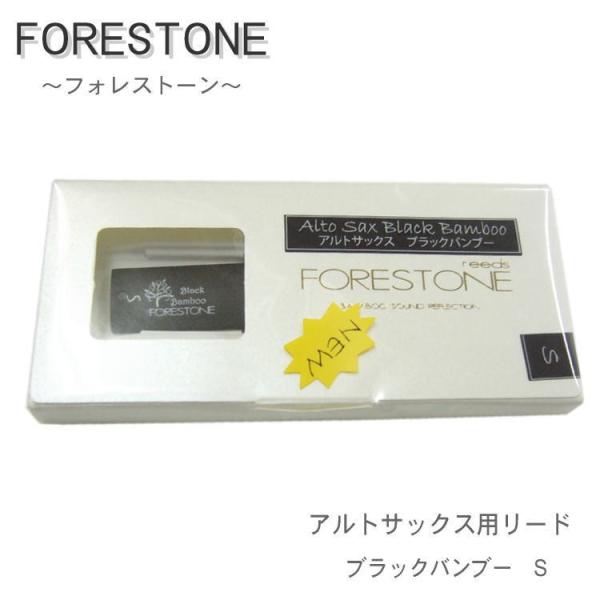 tHXg[[h AgTbNX [h ubNou[ S / Forestone / [h / ty uXoh / [֑Ή 10_܂