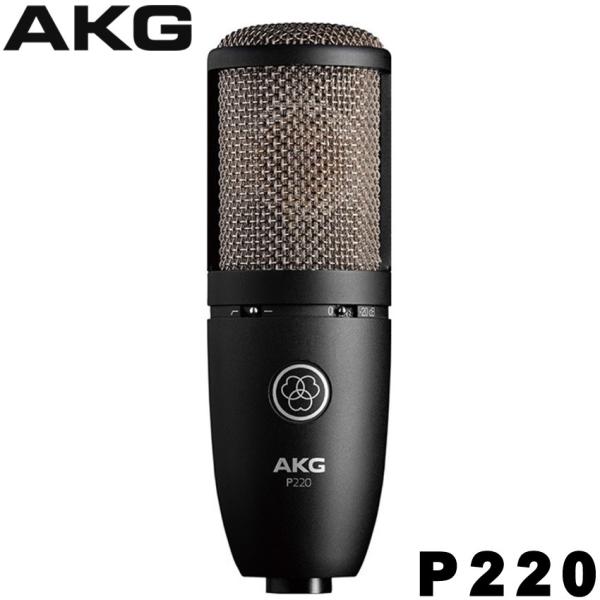 AKG P220 RfT[}CN ([h{[J/AR[XeBbNM^[)yKiz