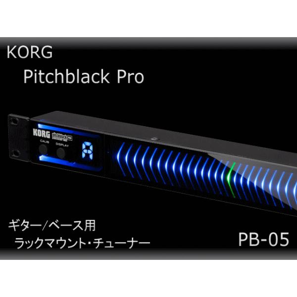 定期入れの KORG コルグ PitchBlack Pro fawe.org