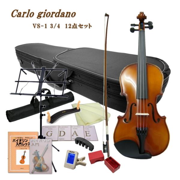 送料込・まとめ買い バイオリン 1/2 Carlo Giordano | www.aosfiji.org