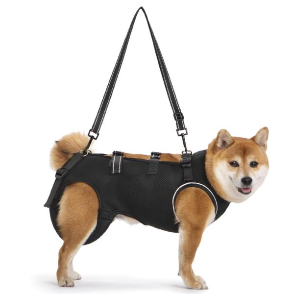 犬用 介護ハーネス 歩行補助 4点セット 犬用 介護ハーネス 歩行補助 4点セット Amazon | Yurika 犬用介護