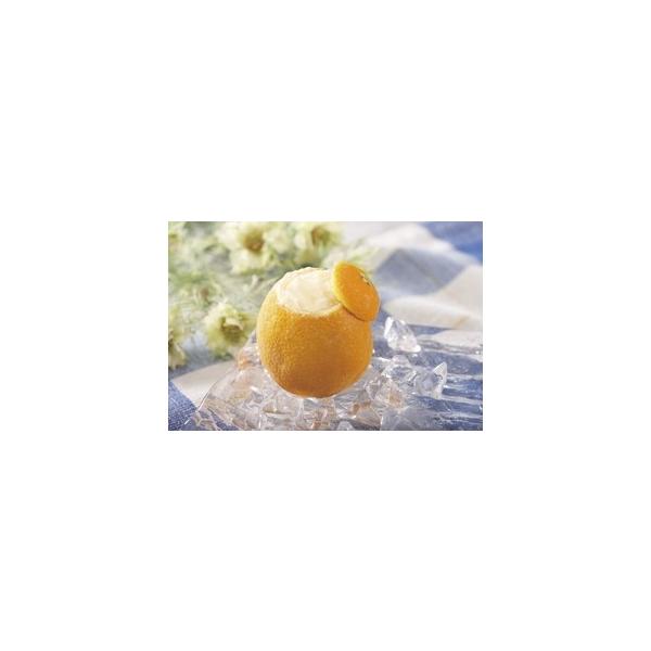 tYt@Ng[jIWV[xbgEh1 N[ [Ⓚ] ւɂĂ͂ yƖpHi Ⓚz |Cg