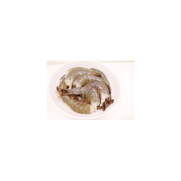 ANg)oiCCV16/20 450g N[ [Ⓚ] ւɂĂ͂ yƖpHi Ⓚz