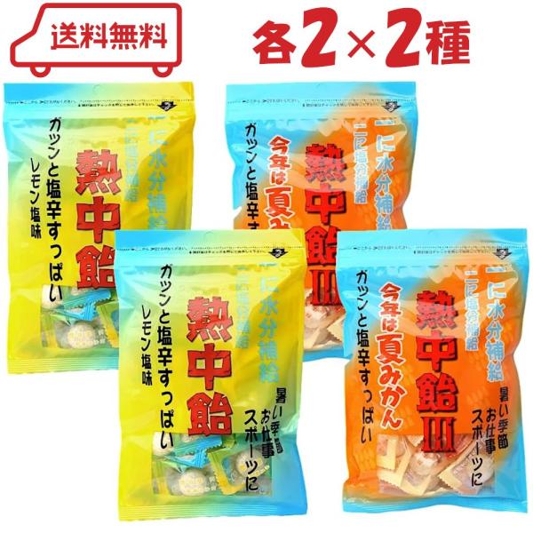 手軽に熱中症対策ができると大人気の熱中飴（夏みかん味）と（レモン塩飴）の2種アソートセットです。1粒に300mgを超える塩分量は業界トップクラス。スポーツ時、運動後などの栄養補給にも♪ ( 送料無料 迅速配送 詰め合わせ 詰合わせ 詰合せ ...