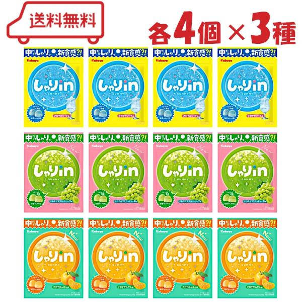 外はツルツルなのに、中はしゃりしゃり？！噛んだ瞬間グミの中から“秘密のしゃり粒”が現れる新食感グミ！3種類の味を詰め合わせた グミ セット です。( 送料無料 迅速配送 詰合わせ 詰合せ 詰合 つめあわせ 詰め合わせ セット アソート 食べ...