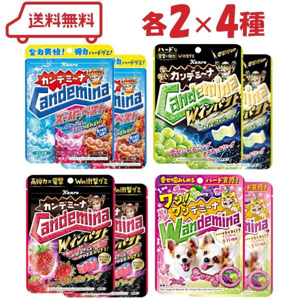 噛むほどクセになるハード食感グミ「カンデミーナグミ」4種類の詰め合わせセットです。( 送料無料 迅速配送 詰め合わせ セット 食べ比べ お正月 成人祝 受験対策 コラーゲン ハードタイプ ハード食感 集中 勉強 ストレス緩和 受験勉強 勉強...