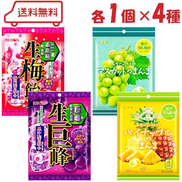 リボン キャンディ 4種 ( 生梅飴 / 生巨峰 / マスカットのまんま / パイナップルのまんま ) 各1 計4袋 あめ 飴 アソート 詰め合わせ 個包装 ペースト