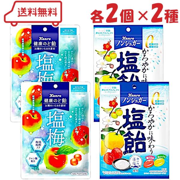 カンロ 塩分チャージ 飴 2種 （ 健康のど飴 塩梅 / ノンシュガー塩飴 ）各2袋 計4袋 アソート のど飴 のどあめ 塩うめ 塩ゆず キャンディ 熱中症 予防 対策
