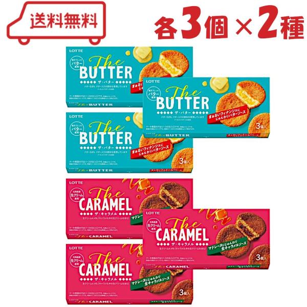 ロッテ Theシリーズ 2種 （ The BUTTER / The CARAMEL ）各3個 計6個 フィナンシェ マドレーヌ 焼き菓子 (賞味期限2026年8月末)