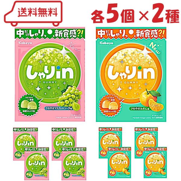 カバヤ しゃりinグミ 2種 （ マスカットソーダ / さわやかみかん ）各5袋 計10袋 アソート グミ 詰め合わせ セット ミカン マスカット チャック付き袋