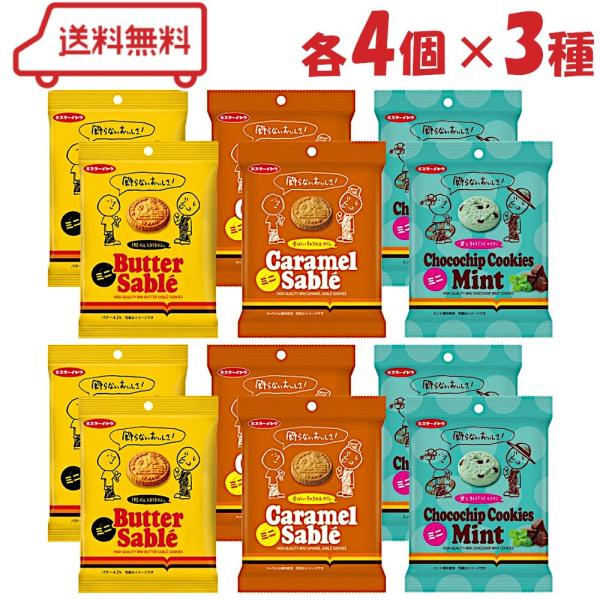 イトウ製菓 ミニサブレ＆ミニクッキー 3種（ バターサブレ / キャラメルサブレ / チョコチップクッキーミント ）各4袋 計12袋 アソート ビスケット サブレ
