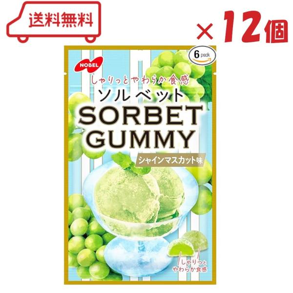 ノーベル製菓 ソルベットグミ シャインマスカット味 50g × (12袋) (賞味期限2026年9月末) グミ ソルベ風 新食感 チャック付き袋 しゃりっと やわらか