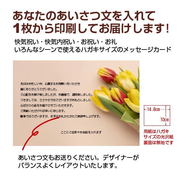 あなたのあいさつ文を入れて1枚から印刷ok 快気祝い はがき お見舞い オリジナル 快気内祝い お礼 お見舞い返し 退院報告 ハガキ 私製葉書 Kaiki01 写真deメッセージカードショップ 通販 Yahoo ショッピング