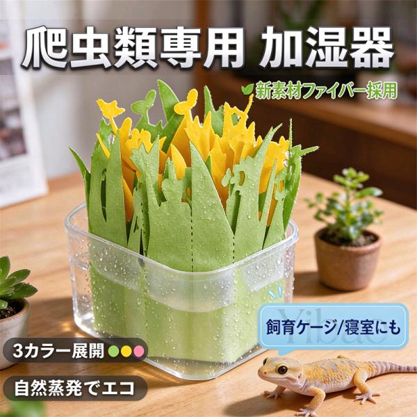 ペーパー加湿器 卓上 ペット 自然気化式 電気不要 コンパクト エコ加湿器 グリーン 観葉植物風 省エネ 節電 静音 フィルター加湿器 ペット用 乾燥対策 寝室