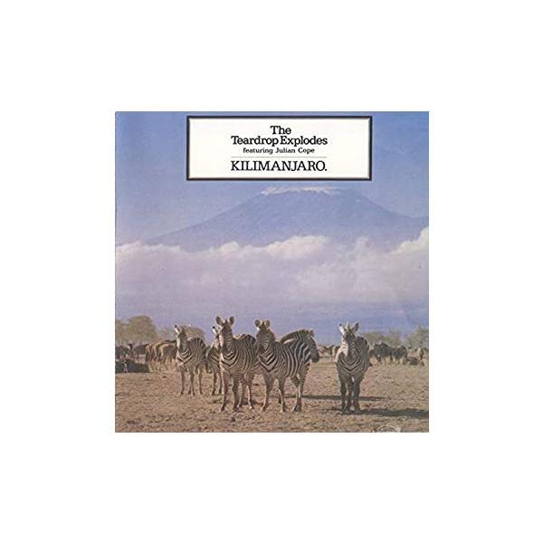 【中古】Live in London / オンリー・ワンズ  (帯無し)