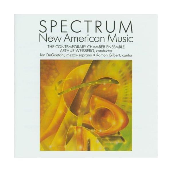 【中古】New American Music / Spectrum Compilation（帯なし）