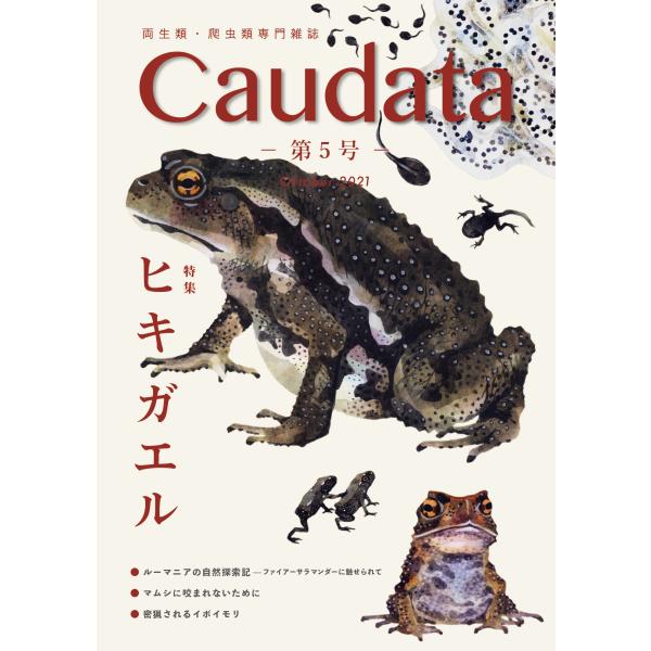 第5号　両生類・爬虫類専門雑誌『Caudata（カウダータ）』◆特集：ヒキガエル◆【日時指定不可ネコポス便のみ、代金引換不可】