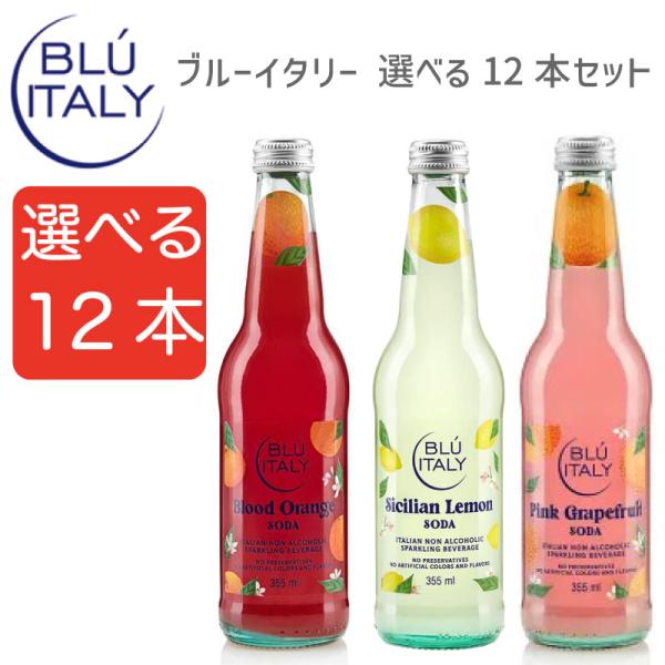 【送料無料12本】ガルヴァニーナ ブルーイタリー イタリアンソーダ 355ml 選べる12本セット