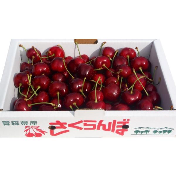 さくらんぼ サミット 青森県産 1kg 訳あり 農家直送 Buyee Buyee Japanese Proxy Service Buy From Japan Bot Online