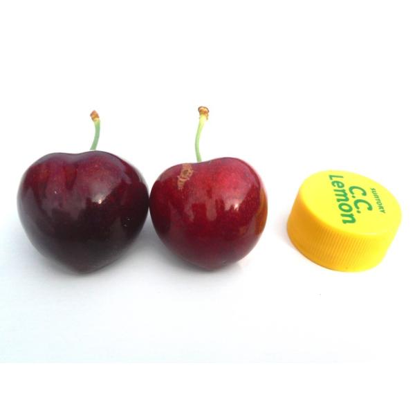 さくらんぼ サミット 青森県産 1kg 訳あり 農家直送 Buyee Buyee Japanese Proxy Service Buy From Japan Bot Online