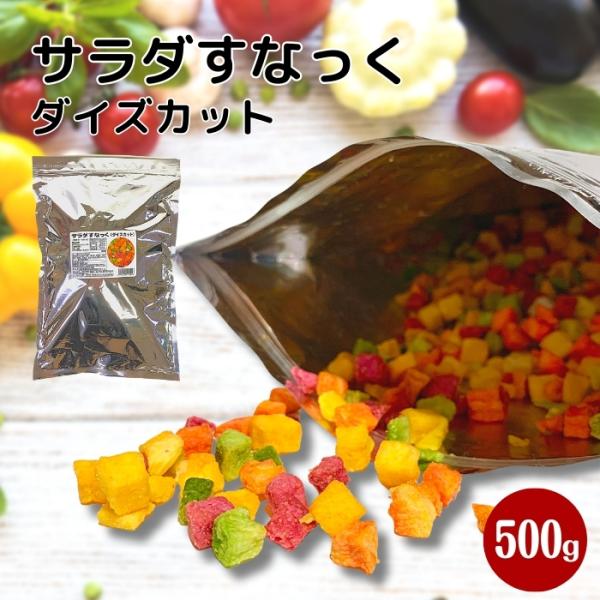 サラダすなっく 500g 常温 5種の野菜スナック 無着色 天然色 クルトン おやつ トッピング やさいのお菓子 おつまみ 業務用