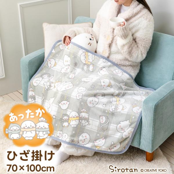 【サイズ】70×100cm【素材】ポリエステル100％【原産国】中国*単独でネット使用*家庭用タンブラー乾燥のみ禁止*表面の毛羽が燃えやすいので火気などに近づけないでください。*洗濯時に多少色落ちの恐れがありますので、他の物と分けて洗ってく...