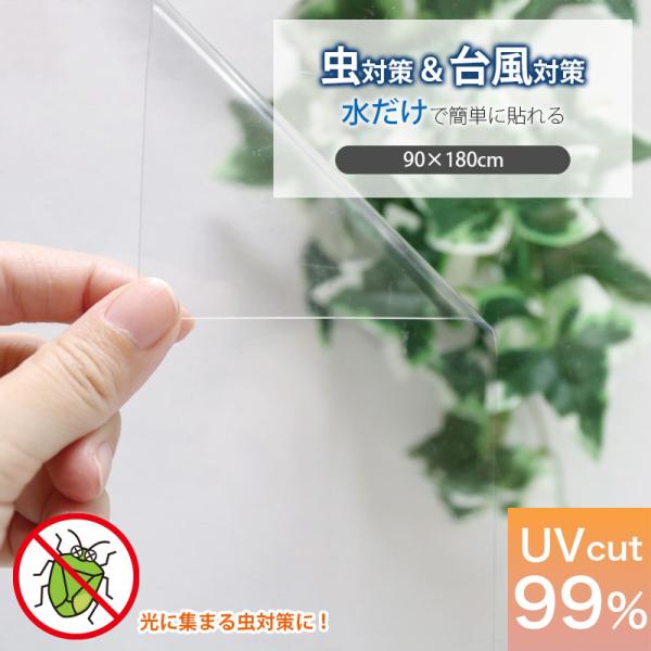明和グラビア 窓ガラスフィルム カメムシ 対策 飛散防止 透明
