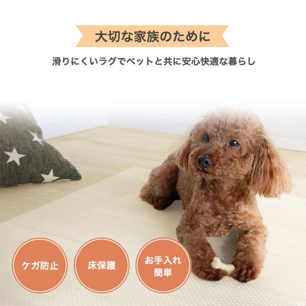 �؂蔄�� �y�b�g�}�b�g �h�� ������ �ؖ� ����Ȃ� ���L �R�� ���� �L���~�� 90cm�� ���ׂ�ɂ��� �� �y�b�g �� �􂦂� �L�Y�h�~ �@���� ����Ȃ� ZT NBC ���i�摜1