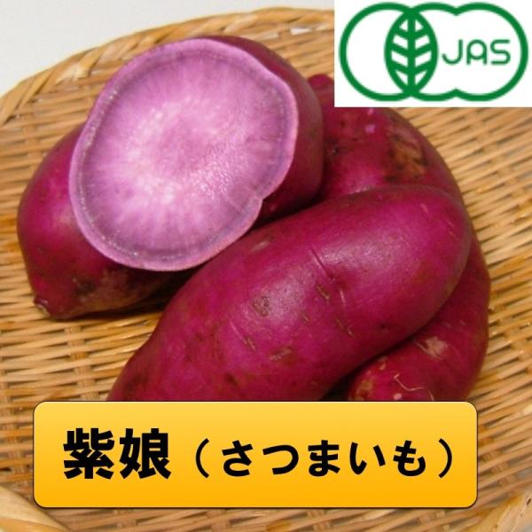 鹿児島産有機栽培紫娘 さつまいも 紫芋 10k まだまだ希少は品種です Buyee Buyee Japanese Proxy Service Buy From Japan Bot Online