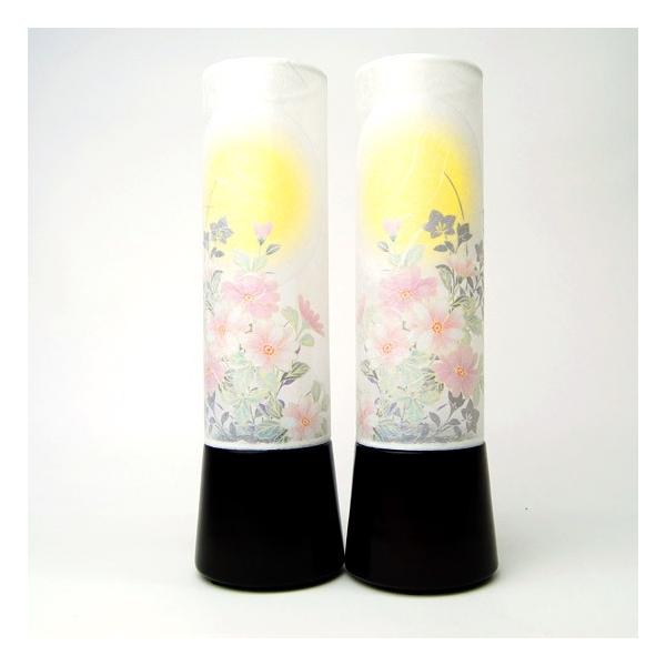  V~ ~ ~  傤 _  RpNg X ~j ~ 2{ZbguaƓ ɐ̌i28.5cmj(2956) ΁v(2208000636)