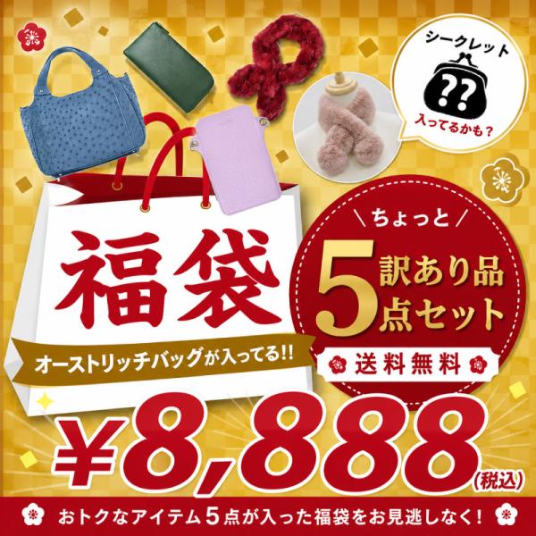 福袋 2025 オーストリッチ バッグ 本革ポーチ 本革財布 リアル ファー マフラー ベスト 5点セット 訳あり品 アウトレット レディース 秋 冬 防寒 温活 送料無料