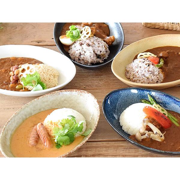 カレー皿 パスタ皿 おしゃれ 和食器 美濃焼 オーバル ボウル ナチュラルオーバルカレー皿 パスタ皿 灰釉窯変 Buyee Buyee 提供一站式最全面最專業現地yahoo Japan拍賣代bid代拍代購服務 Bot Online