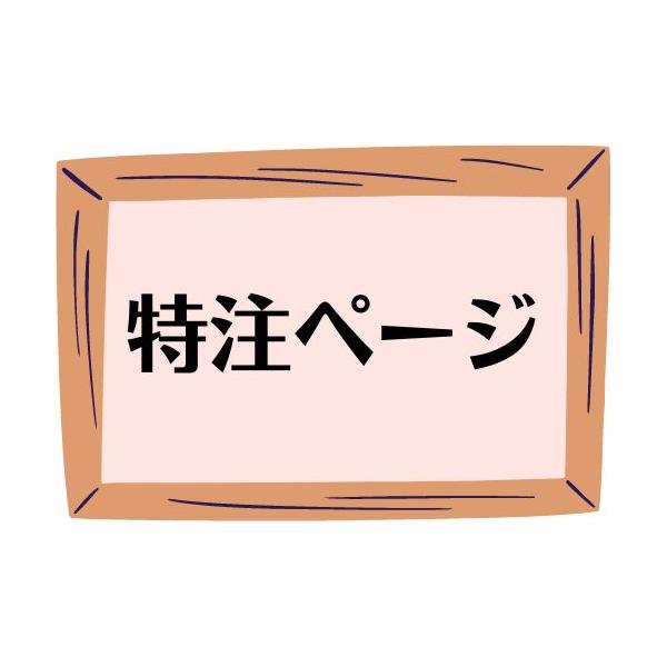 ファインパーフェクトトップ【特注ページ03】※特注ページのため一般の方はご遠慮ください。