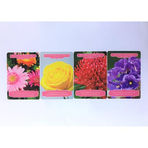 フラワー セラピー オラクルカード Flower Therapy Oracle Cards 占い タロット Buyee Servis Zakupok Tretim Licom Buyee Pokupajte Iz Yaponii