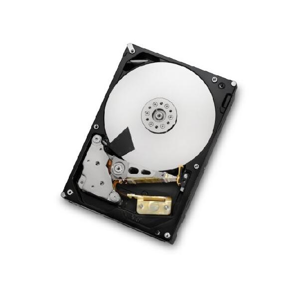 【並行輸入】HGST Deskstar 3.5-Inch 2TB 7200RPM SATA III 6 Gbps 64 MB Cache Internal Hard Drive (0F12115) 141［並行輸入］
