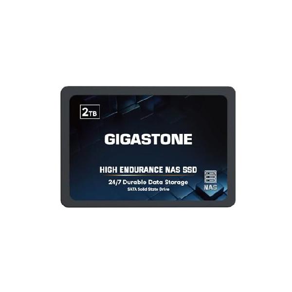 並行輸入 【NAS SSD 御勧め】GIGASTONE 2TB NAS TLC 3D NAND 高い耐久