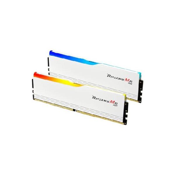 並行輸入 G.SKILL Ripjaws M5 RGB Series (Intel XMP 3.0) DDR5 RAM