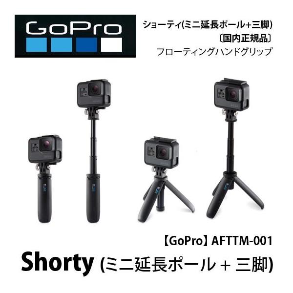 楽天市場店 GoPro HERO9 Black アクションカメラ 三脚ショーティー