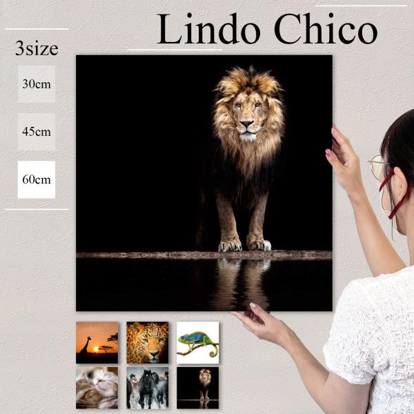 アートパネル おしゃれ 壁掛け 動物 豹 レオパード サファリ アフリカ 馬 ネコ 猫 アニマル キャット ライオン カメレオン パンサー ホース 馬群 黒馬 ペット サ