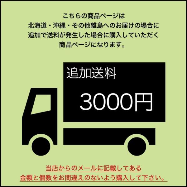 こちらのページは 追加送料 3000円 の商品ページです。 : MICヤフー