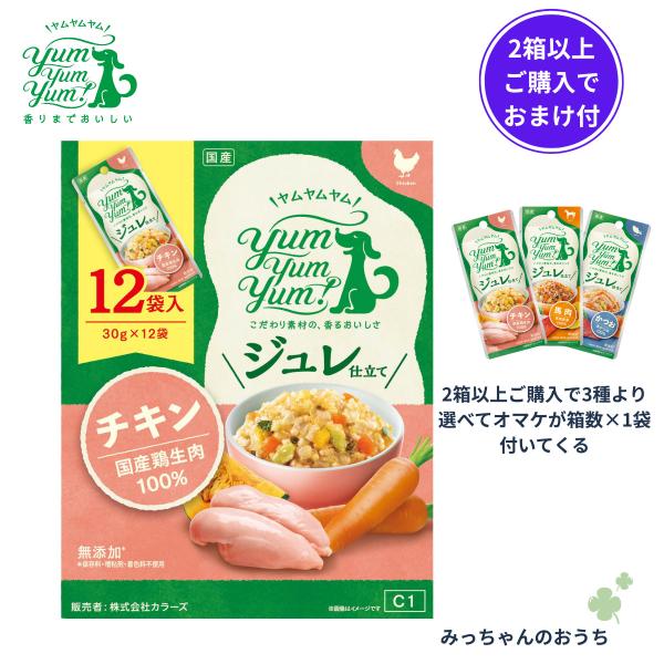 yum yum yum ヤムヤムヤム ジュレ仕立て  チキン  30ｇ×12袋 2箱以上ご購入でおまけは4種から選べる30ｇ1袋付