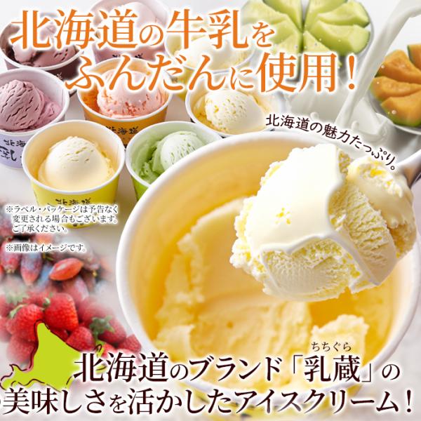 夏ギフト 北海道アイス 8種 8個 食べ比べ セット 産地直送 アイスクリーム 冷凍 スイーツ プレゼント お祝い お礼　冷凍