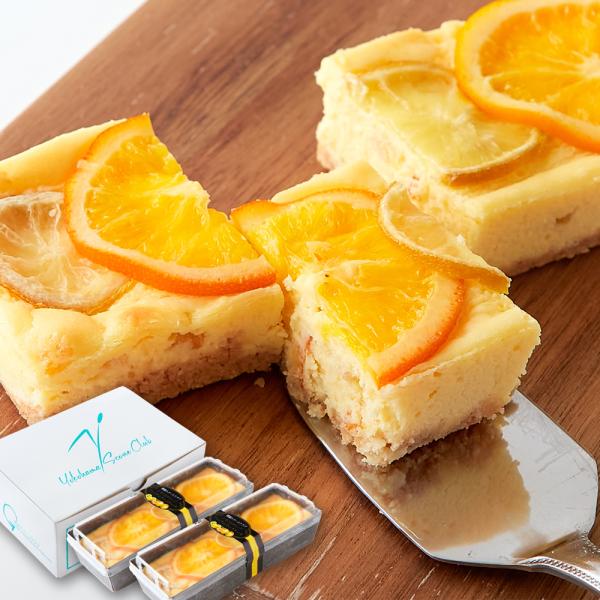 夏ギフト レモン オレンジ チーズケーキ 2本セット 冷凍 濃厚クリームチーズ プレミアム スイーツ 焼き菓子 お祝い プレゼント　
