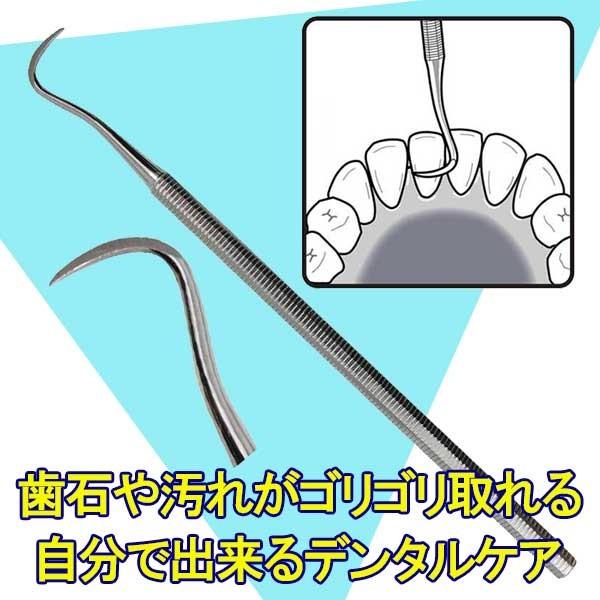 歯石 自分で取る 方法 歯石除去 歯石取り 器具 歯垢除去 歯垢取り 歯の裏側 歯の汚れ 道具 ヤニ取り 歯 口コミ Kanetsuneステンレス歯垢 ヤニとり 鎌首型sy 7 Nks1392 1 美容と健康のミセルyahoo 店 通販 Yahoo ショッピング