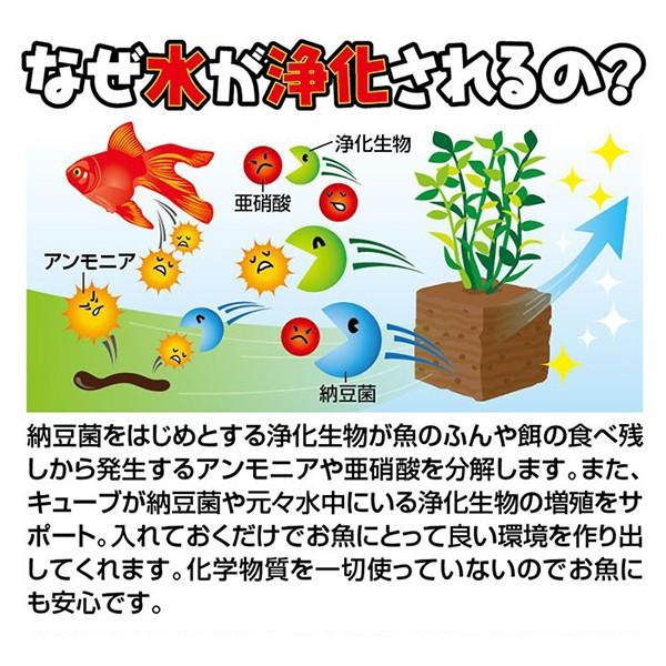 水槽掃除 グッズ ろ過材 浄化装置 コケ 苔 取り 水草 水換え 不要 簡単 口コミ 効果 お魚天国バイオキューブ Buyee Buyee 提供一站式最全面最專業現地yahoo Japan拍賣代bid代拍代購服務 Bot Online