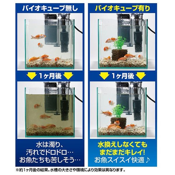 水槽掃除 グッズ ろ過材 浄化装置 コケ 苔 取り 水草 水換え 不要 簡単 口コミ 効果 お魚天国バイオキューブ Buyee 日本代购平台 产品购物网站大全 Buyee一站式代购 Bot Online