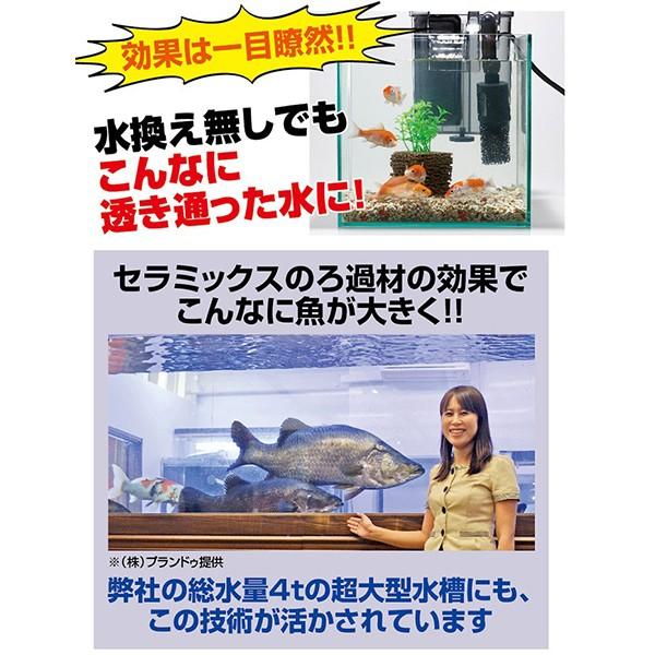 水槽掃除 グッズ ろ過材 浄化装置 コケ 苔 取り 水草 水換え 不要 簡単 口コミ 効果 お魚天国バイオキューブ Buyee Buyee 提供一站式最全面最專業現地yahoo Japan拍賣代bid代拍代購服務 Bot Online